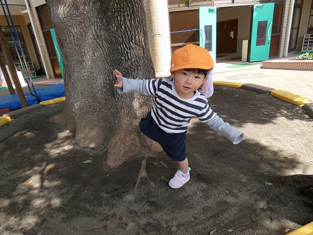 f:id:sonnoubaby:20210419111733j:plain