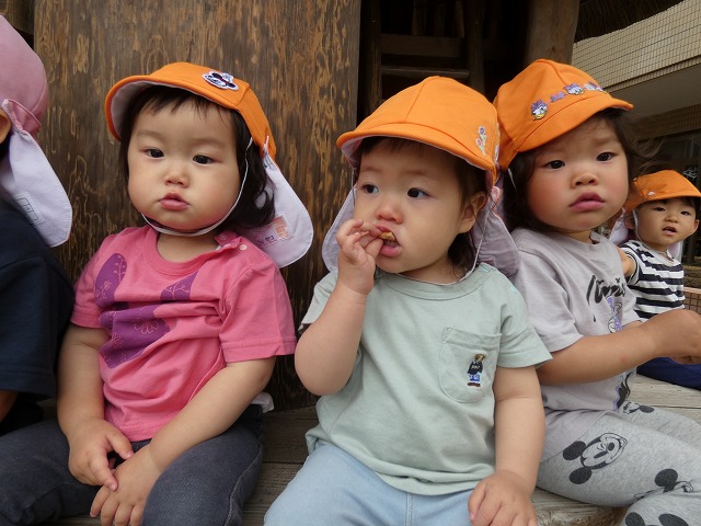 おせんべい焼けたかな 園生幼稚園附属園生保育園