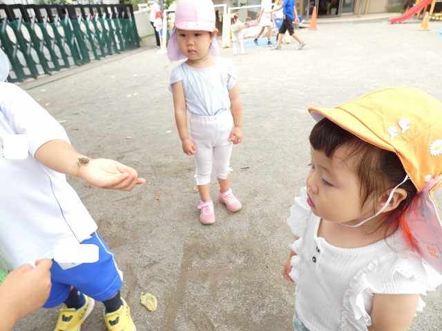 f:id:sonnoubaby:20210812113546j:plain