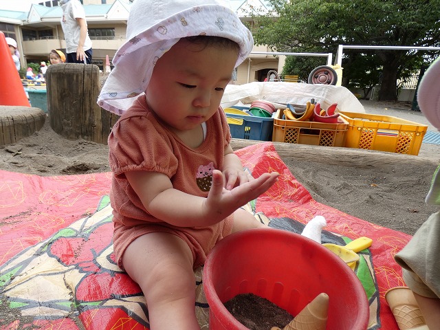 f:id:sonnoubaby:20210812113554j:plain