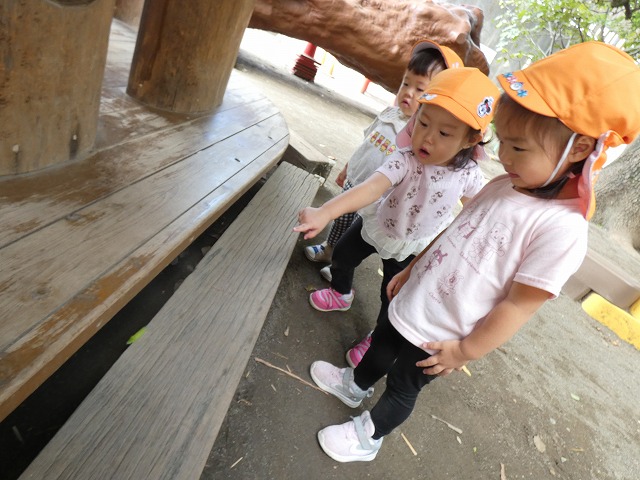 f:id:sonnoubaby:20210916130420j:plain