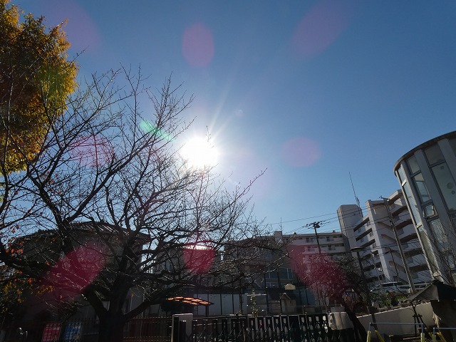 f:id:sonnoubaby:20211203155547j:plain