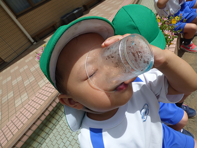 f:id:sonnoukinder:20200827182931j:plain