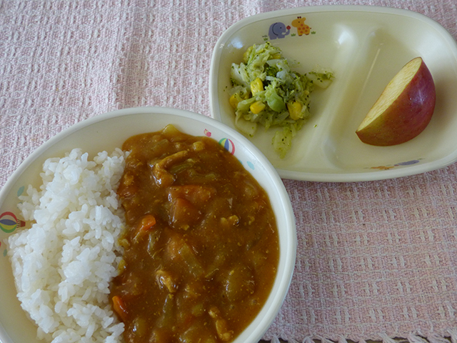 f:id:sonnoukinder:20201118133718j:plain