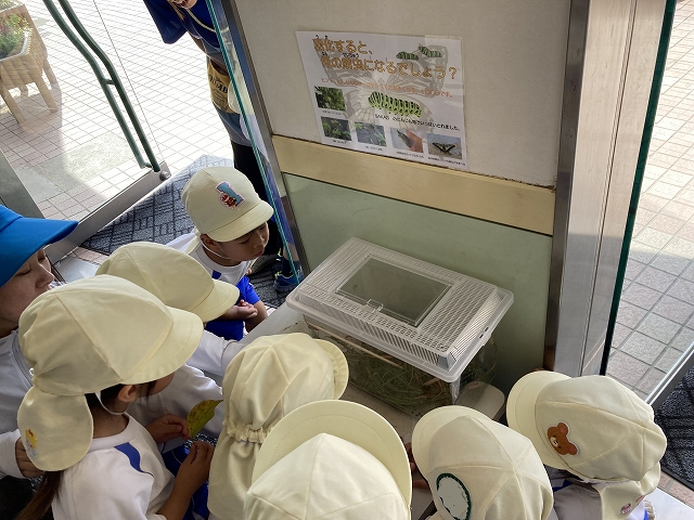 🌷はらぺこあおむしさん🌹 - 園生幼稚園のブログ