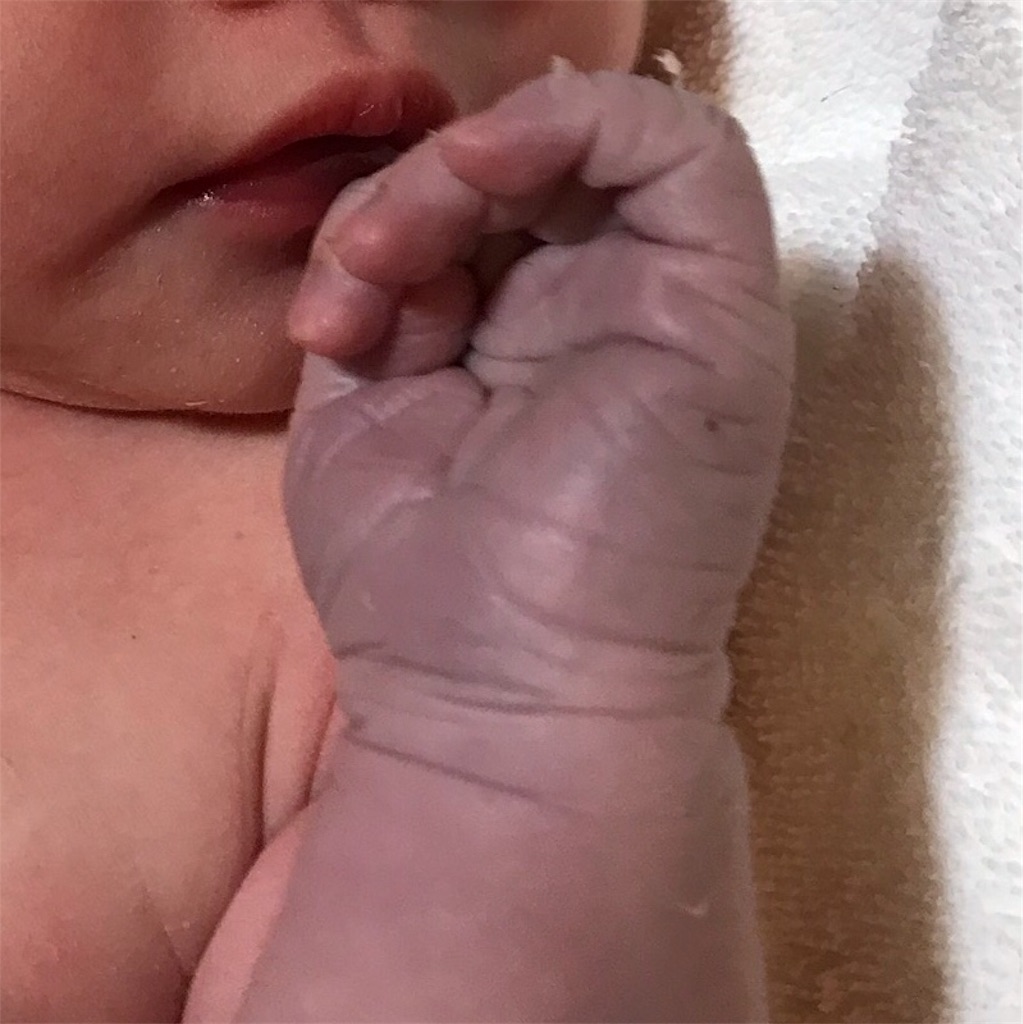 f:id:sono3da-sono32ma:20190213095735j:image f:id:sono3da-sono32ma:20190213095735j:image