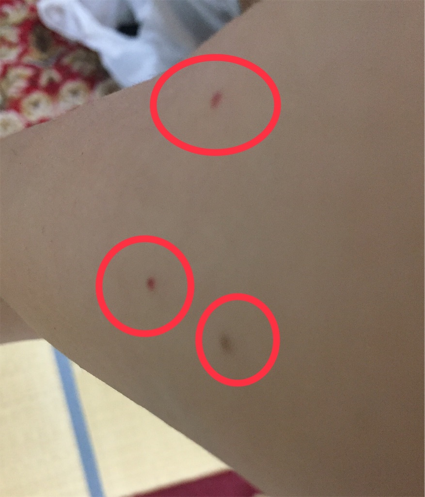 f:id:sono404040:20210725231833j:image