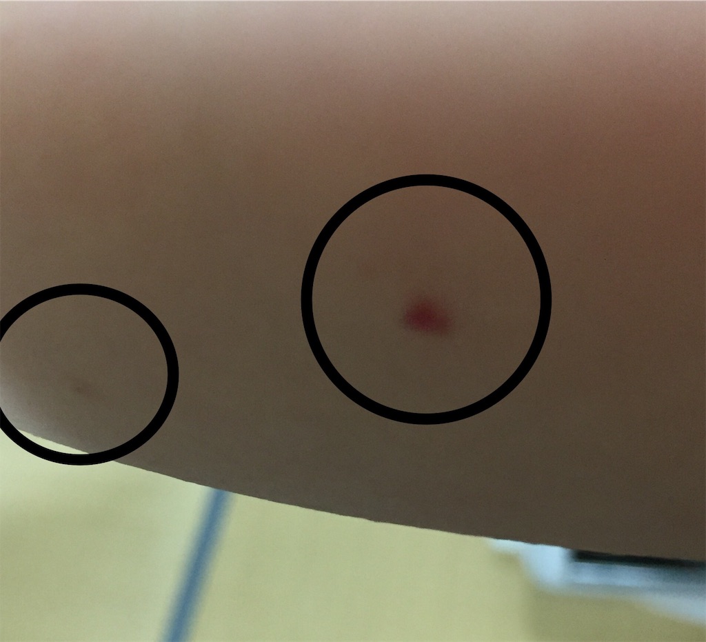 f:id:sono404040:20210725231842j:image