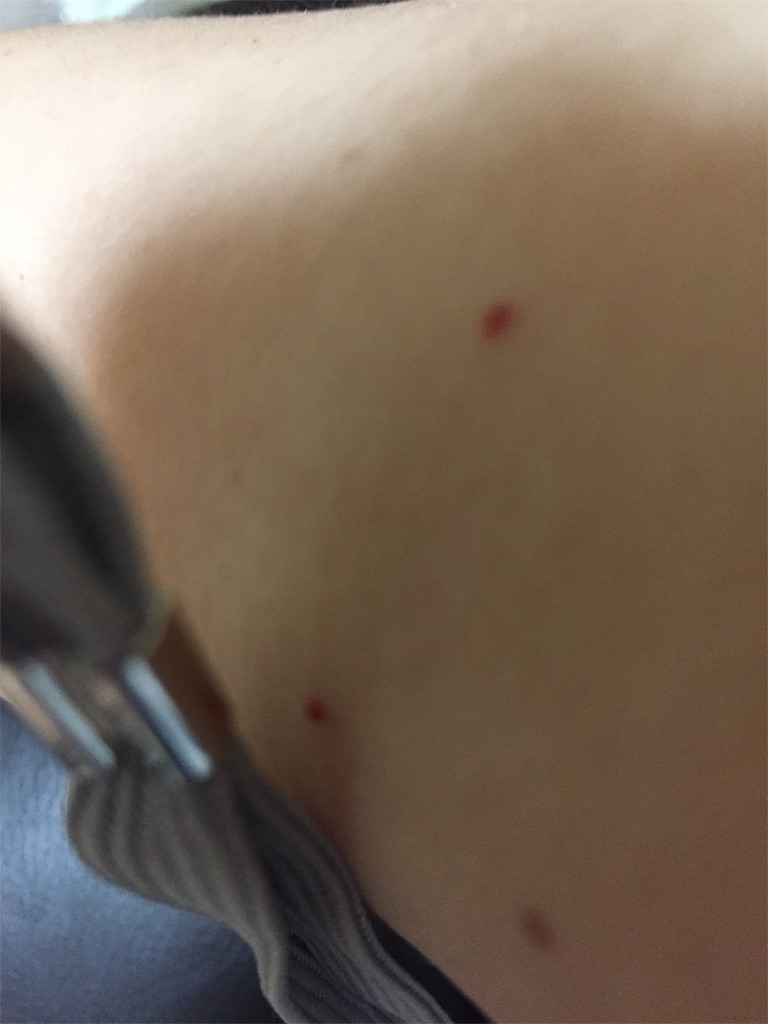 f:id:sono404040:20210817225815j:image f:id:sono404040:20210817225815j:image