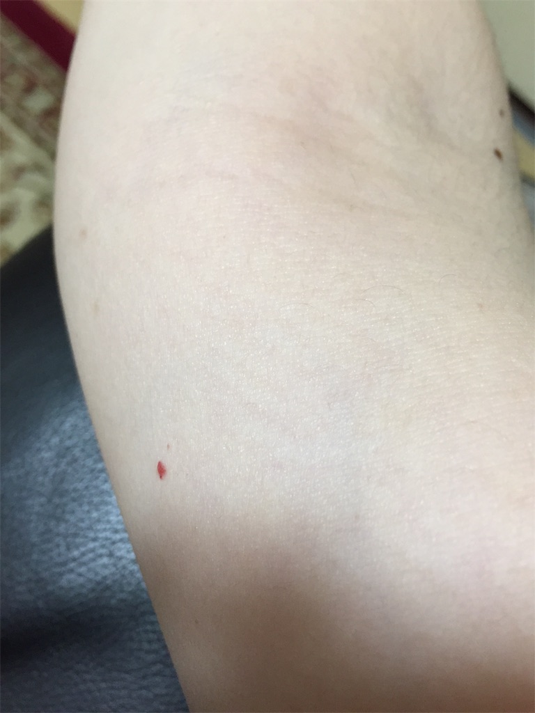 f:id:sono404040:20210817225825j:image f:id:sono404040:20210817225825j:image