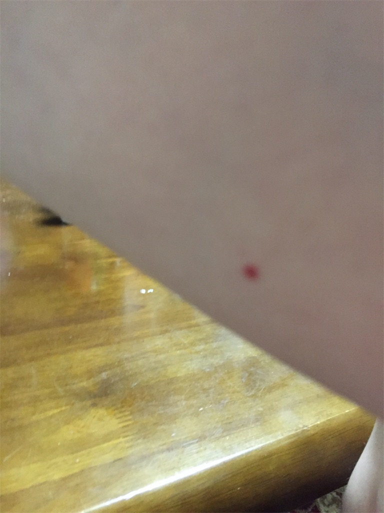 f:id:sono404040:20220814120109j:image