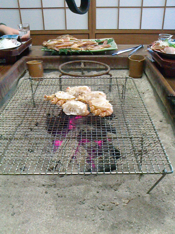 f:id:sonobe-shingo:20170104232850j:image:w360