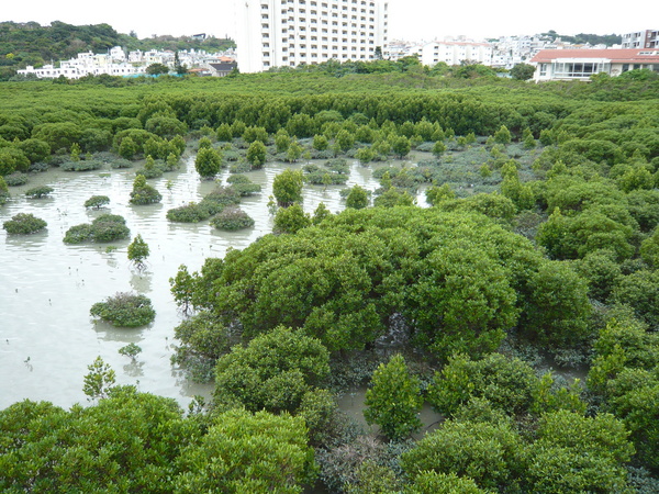 f:id:sonodam:20080127114200j:image