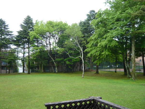 f:id:sonodam:20090531093713j:image