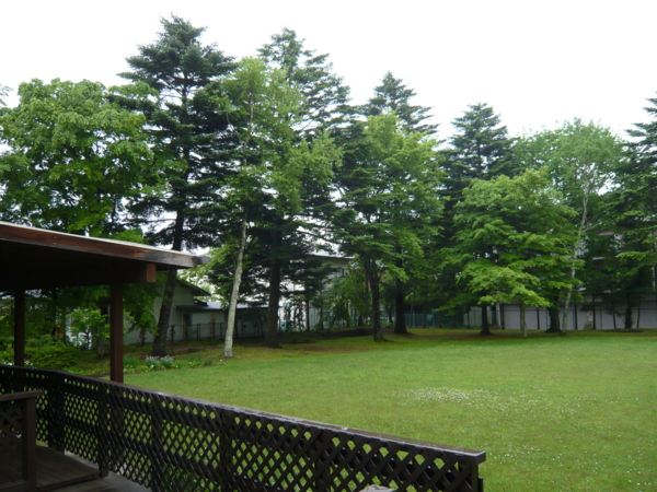 f:id:sonodam:20090531093720j:image