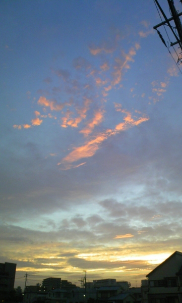 f:id:sonodam:20090710190158j:image