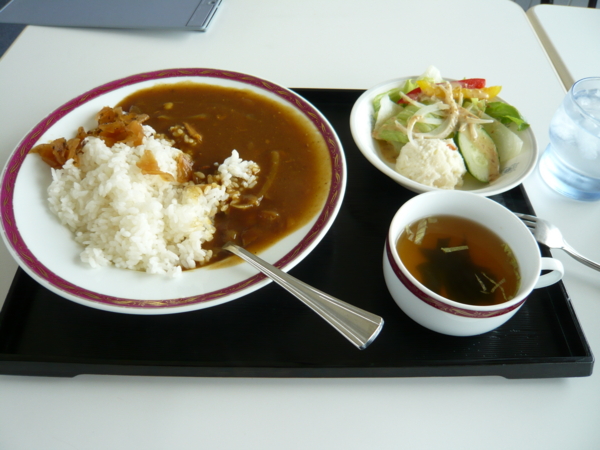 f:id:sonodam:20100812122054j:image