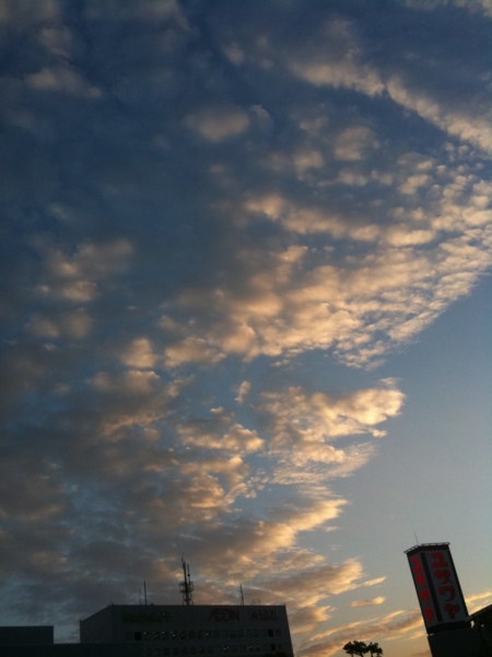 f:id:sonodam:20100917173456j:image