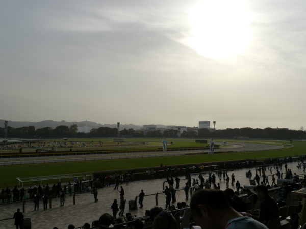 f:id:sonodam:20101113144033j:image f:id:sonodam:20101113144033j:image