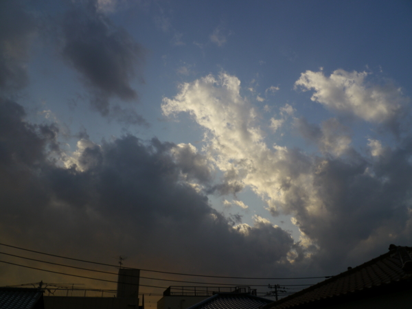 f:id:sonodam:20101224153808j:image