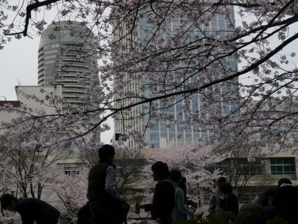 f:id:sonodam:20110408172652j:image