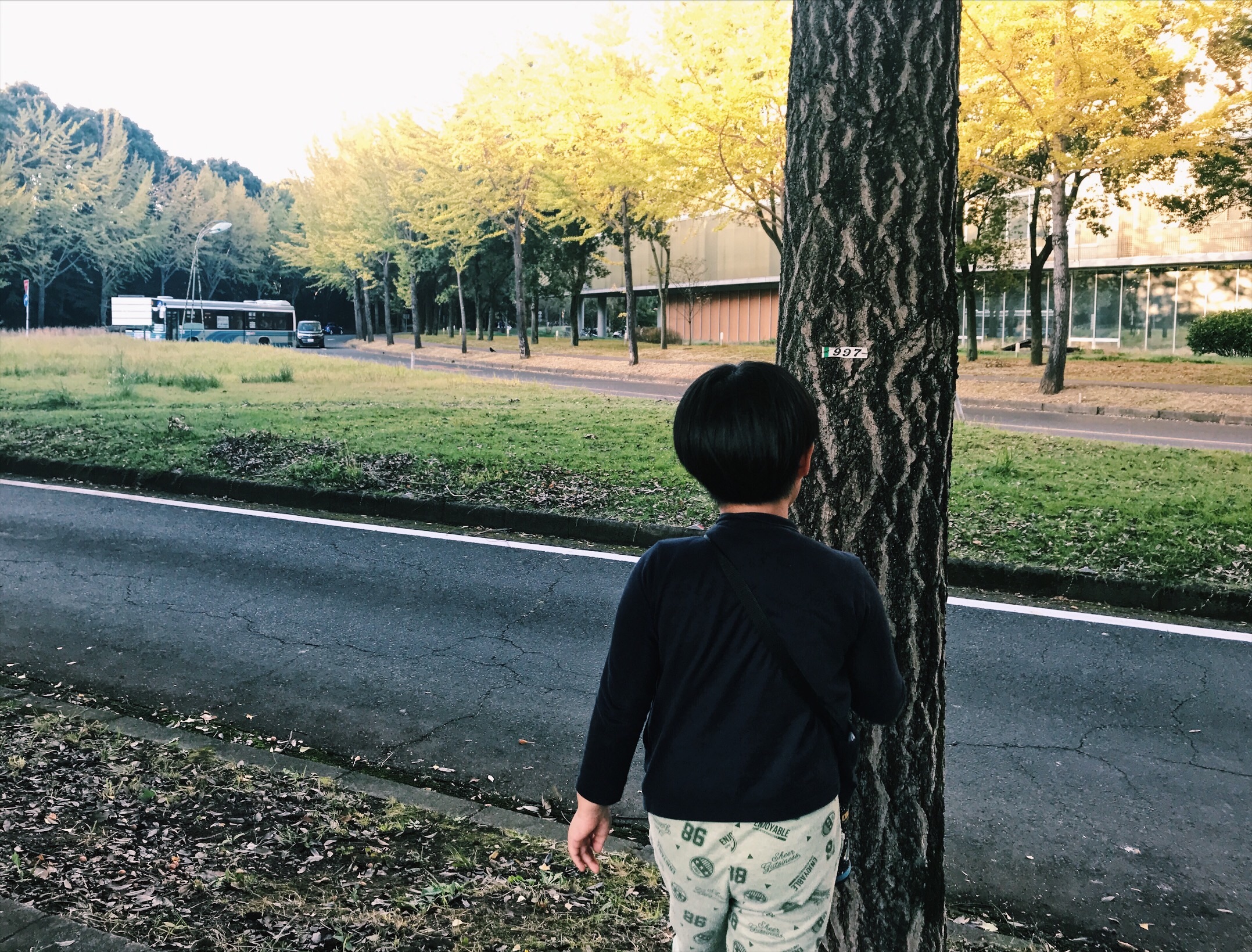 f:id:sonodamamax:20181104101308j:image