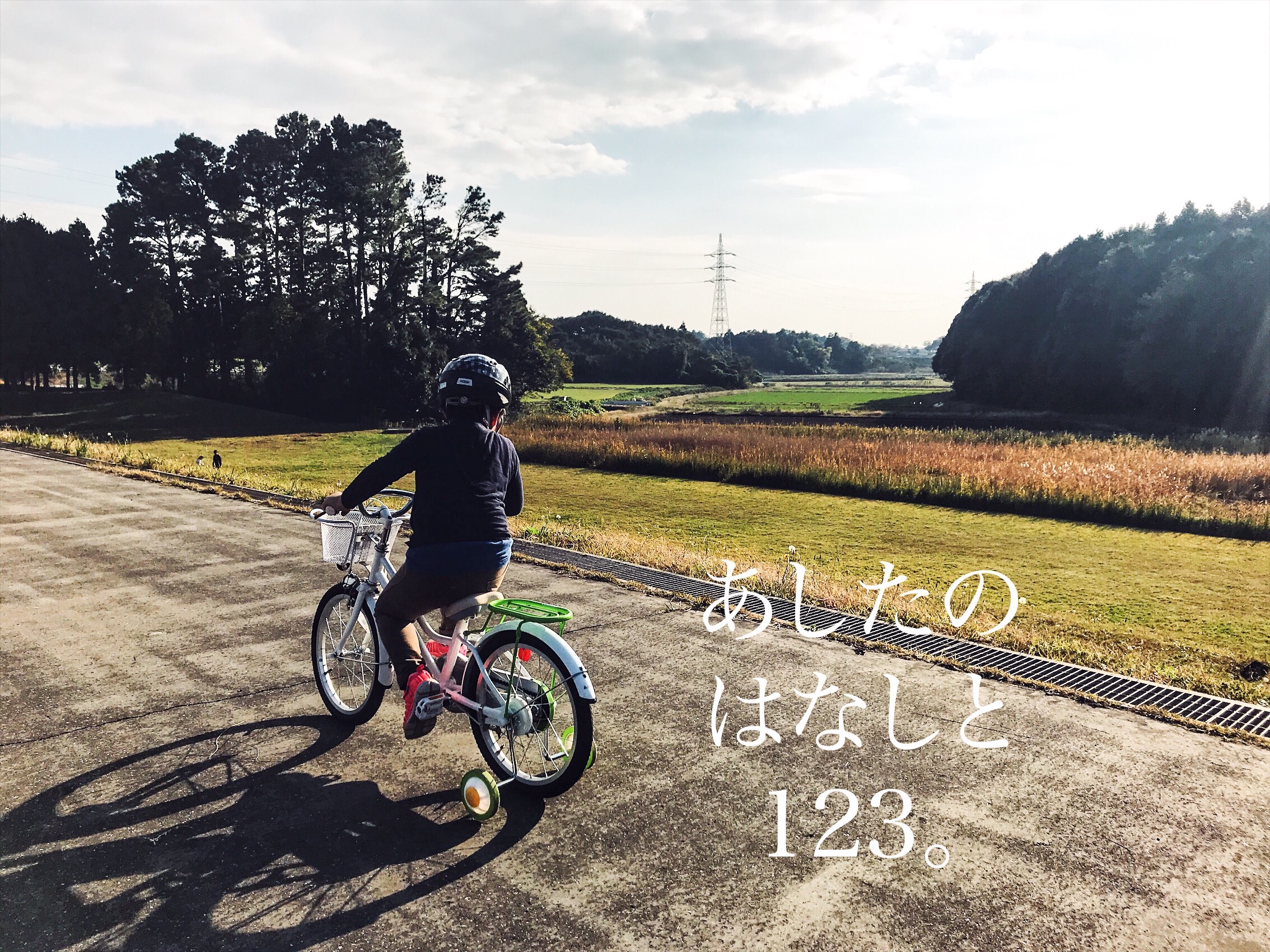 f:id:sonodamamax:20181210225857j:image