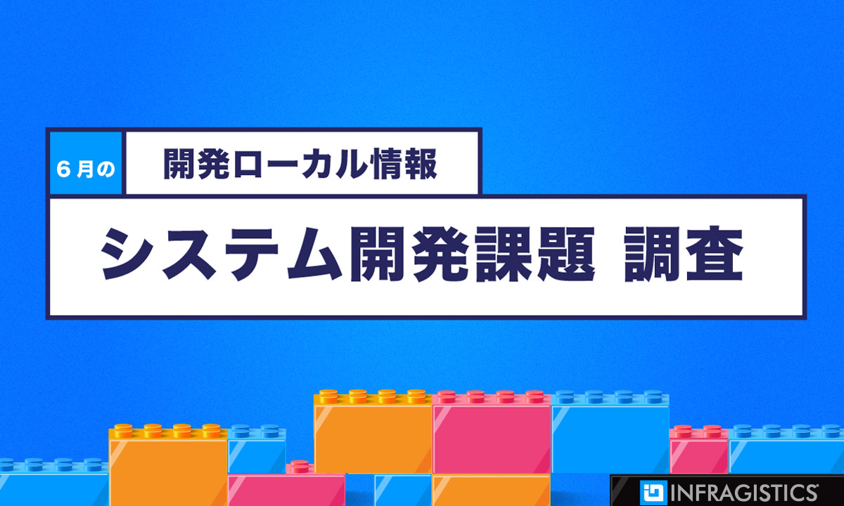 開発ローカル情報6月号: システム開発課題 調査