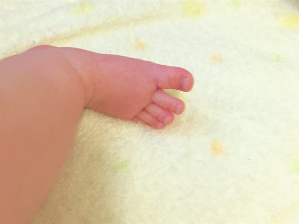 f:id:sonoekoy:20190419142617j:image