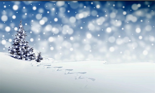 f:id:sonofabiscuit:20220113214357j:image f:id:sonofabiscuit:20220113214357j:image
