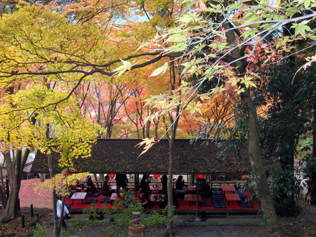 f:id:sonomachihenro:20301122140740j:image f:id:sonomachihenro:20301122140740j:image
