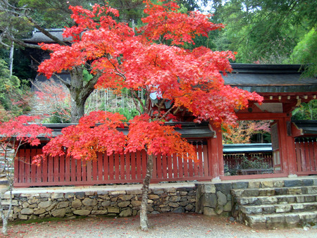 f:id:sonomachihenro:20301122141659j:image f:id:sonomachihenro:20301122141659j:image