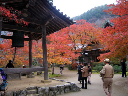 f:id:sonomachihenro:20301122145739j:image f:id:sonomachihenro:20301122145739j:image