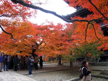 f:id:sonomachihenro:20301123131916j:image f:id:sonomachihenro:20301123131916j:image