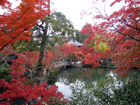 f:id:sonomachihenro:20301123140225j:image f:id:sonomachihenro:20301123140225j:image