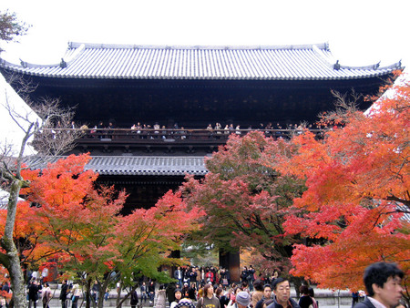 f:id:sonomachihenro:20301123151223j:image f:id:sonomachihenro:20301123151223j:image