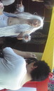 f:id:sonox:20080730173322j:image f:id:sonox:20080730173322j:image