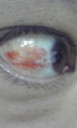 f:id:sonox:20091109141831j:image