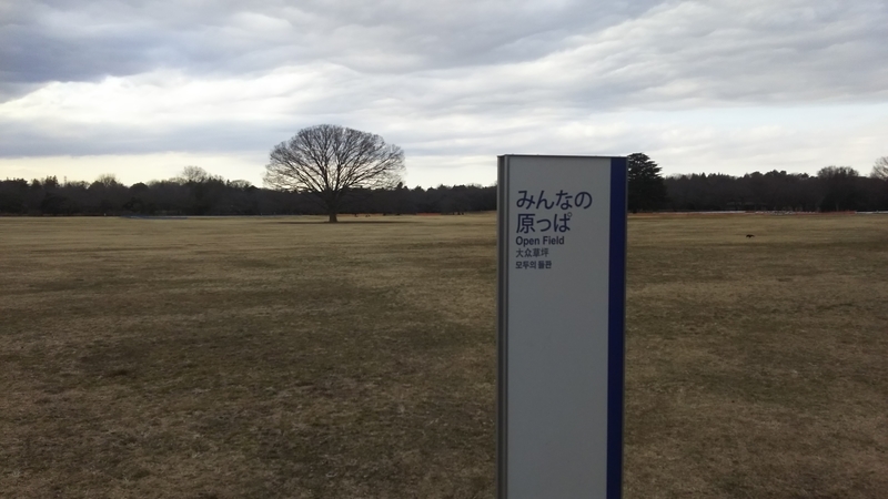 f:id:sonoyukemuri:20190213165721j:plain f:id:sonoyukemuri:20190213165721j:plain