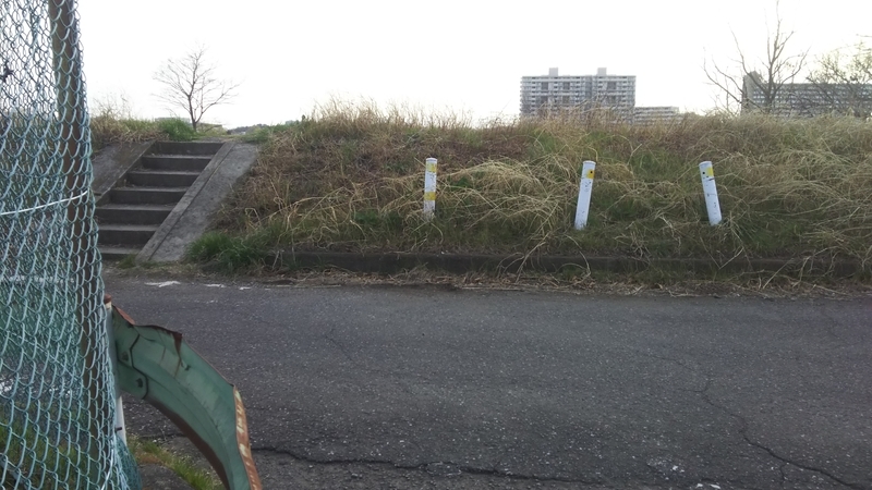f:id:sonoyukemuri:20190319004702j:plain f:id:sonoyukemuri:20190319004702j:plain