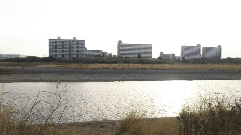 f:id:sonoyukemuri:20190319004724j:plain f:id:sonoyukemuri:20190319004724j:plain