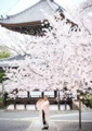 f:id:sonyouin:20151209154554j:image:medium