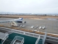 [飛行機]到着した羽田発NH313便と旧展望デッキ