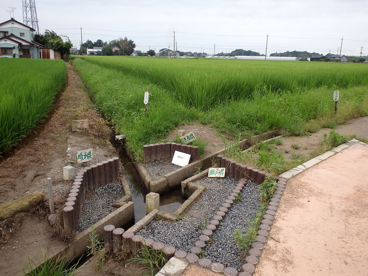 栃木・埼玉・群馬の三県境