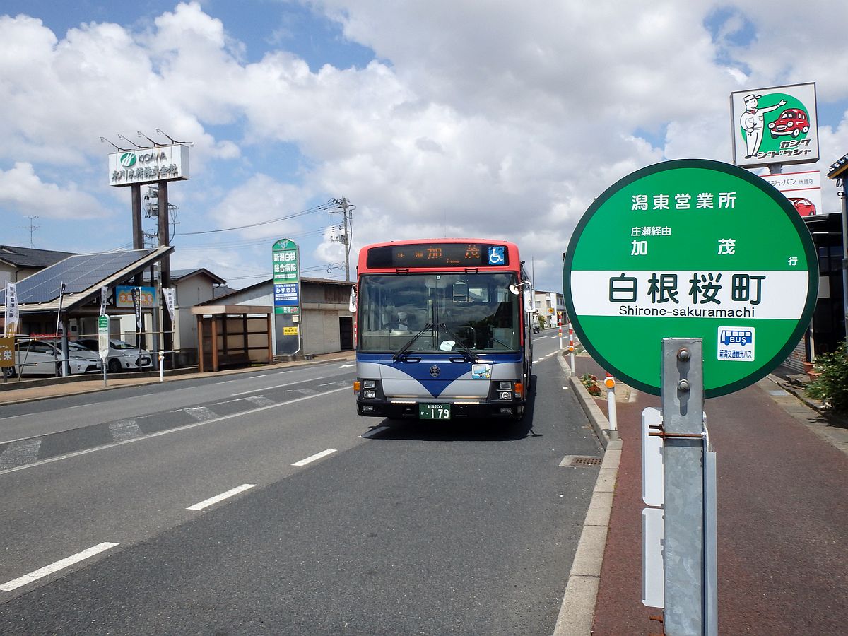 白根桜町にて