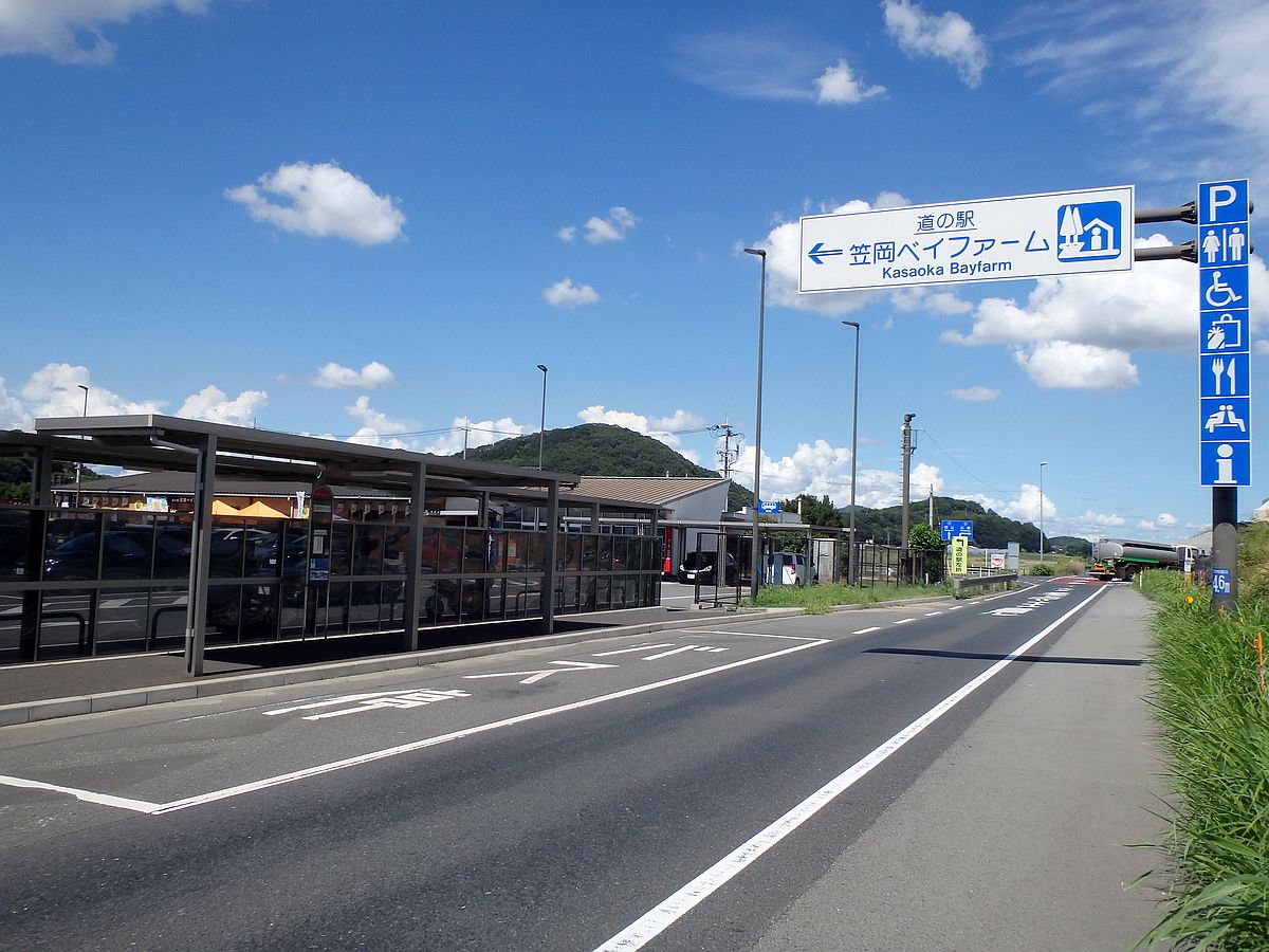 「&larr;笠岡ベイファーム」と書かれた道路標識の支柱に標高が書かれている