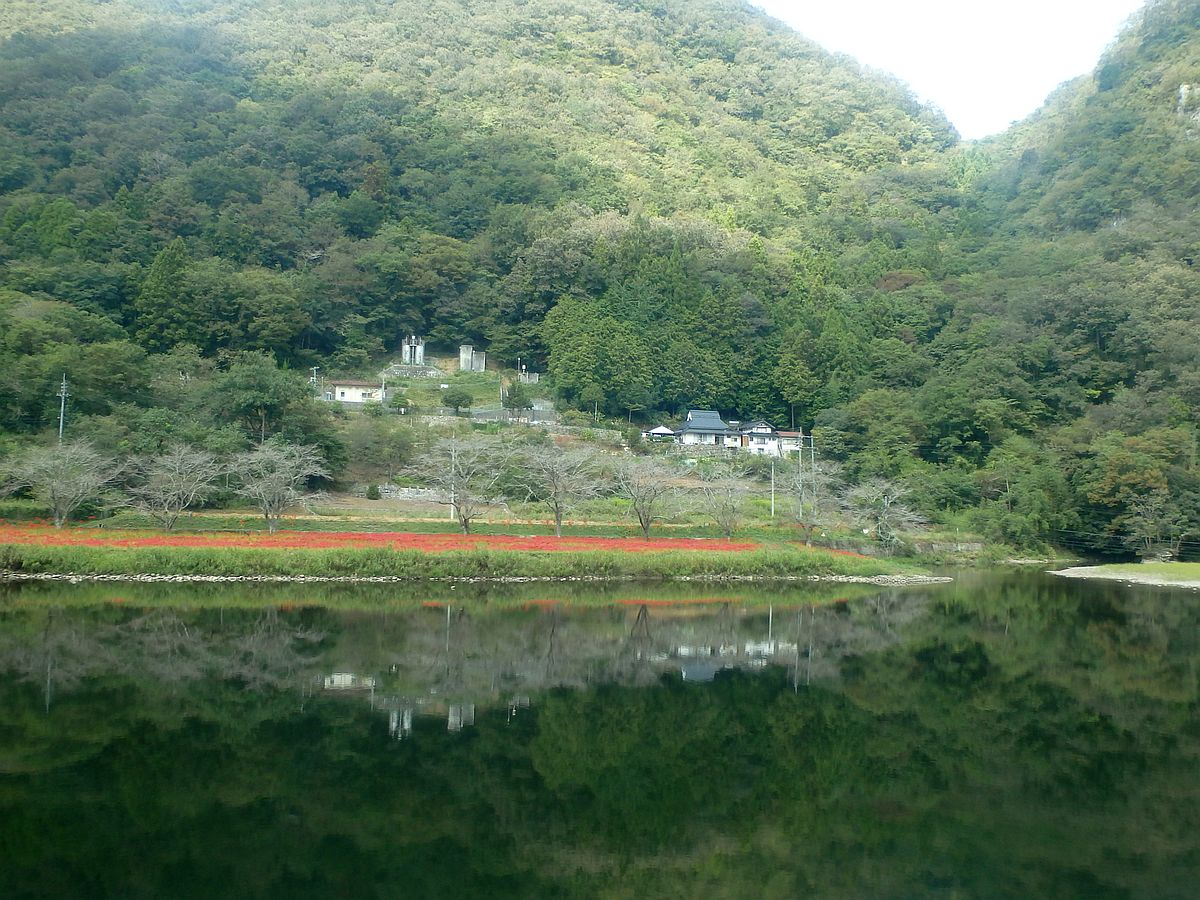 成羽彼岸花群生地 川の対岸に彼岸花が群生していた