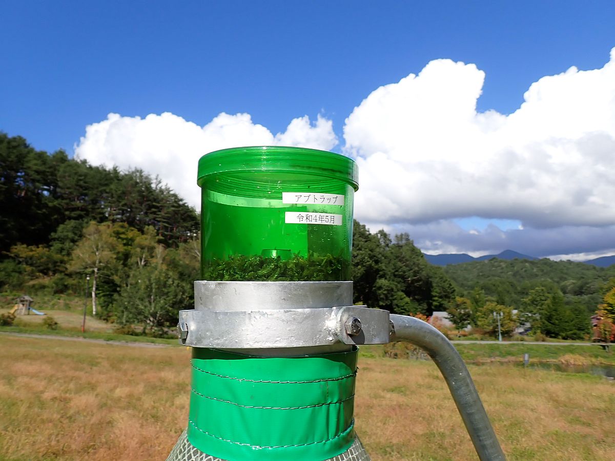 石突の部分を拡大。ここに虫が集められる