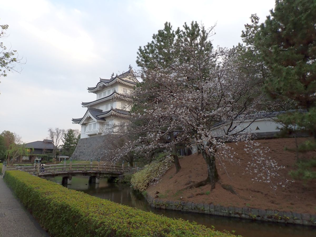 忍城とサクラ 忍城にて