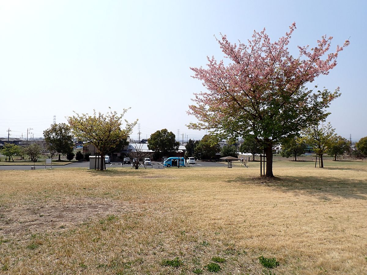 島村蚕のふるさと公園にて